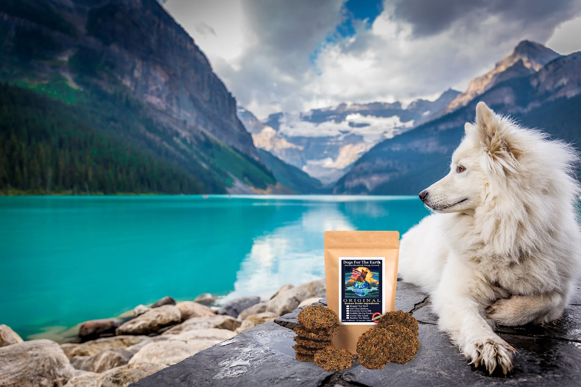 Pure Nutrition for Happy Dogs